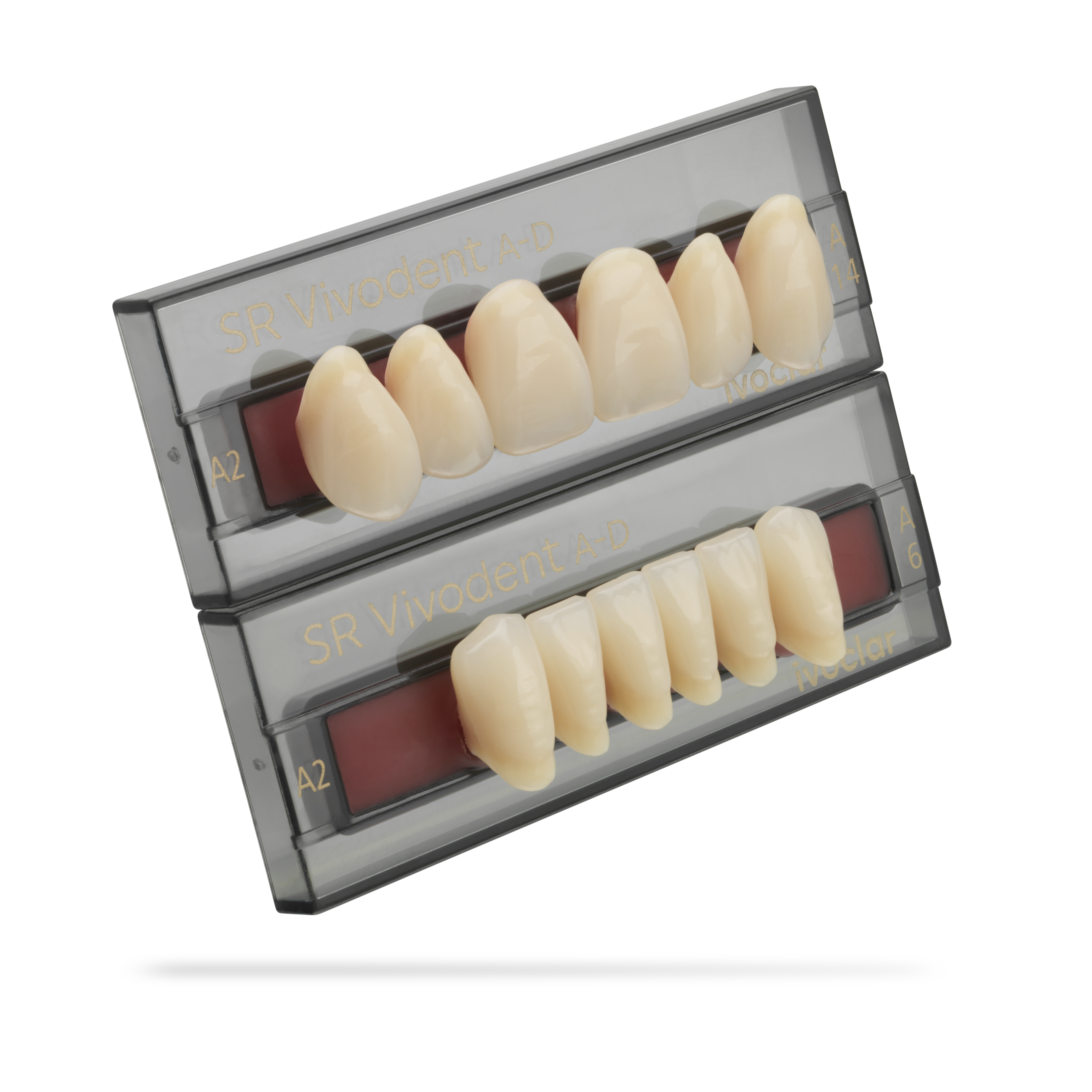 SR Vivodent Set of 6