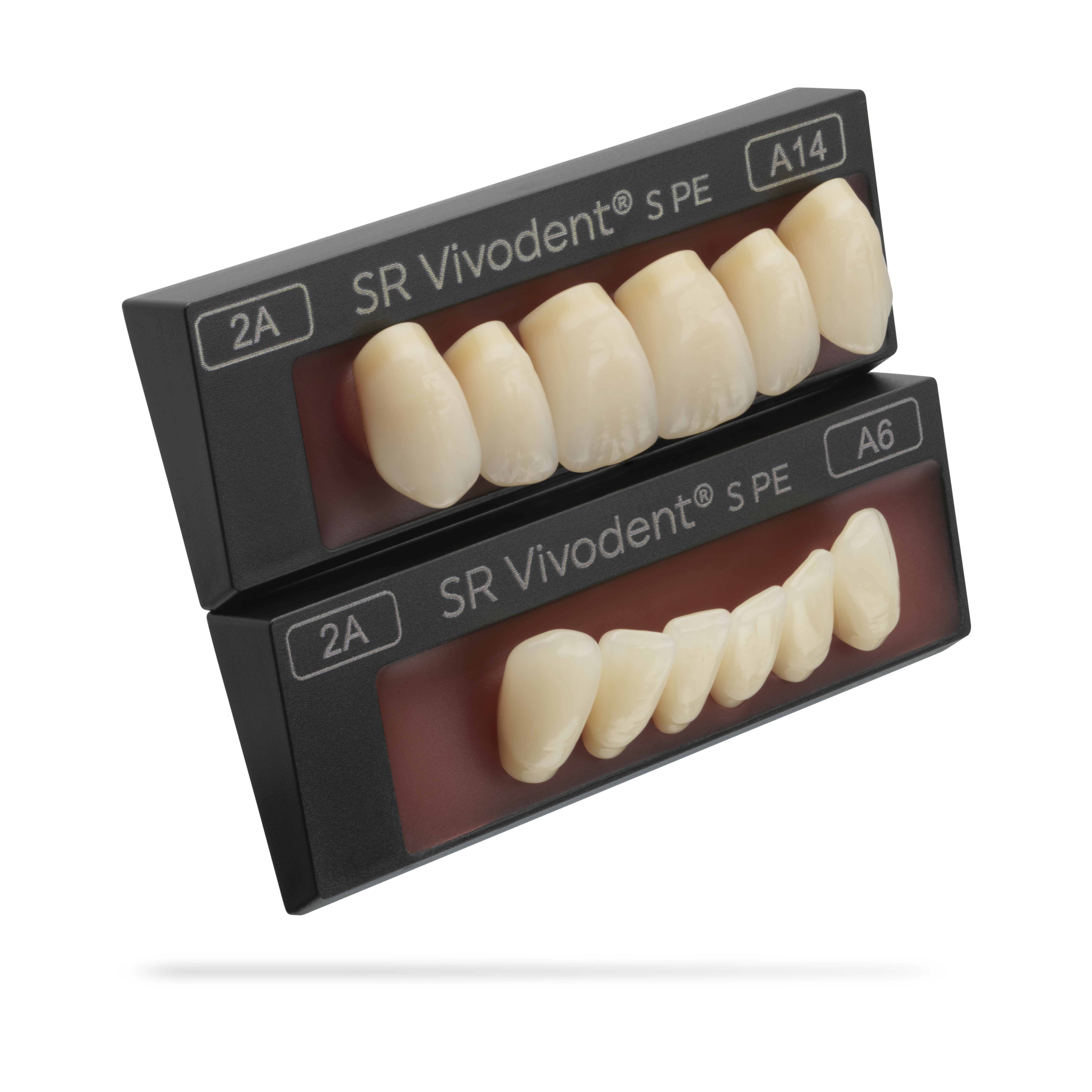 SR Vivodent S PE set of 6