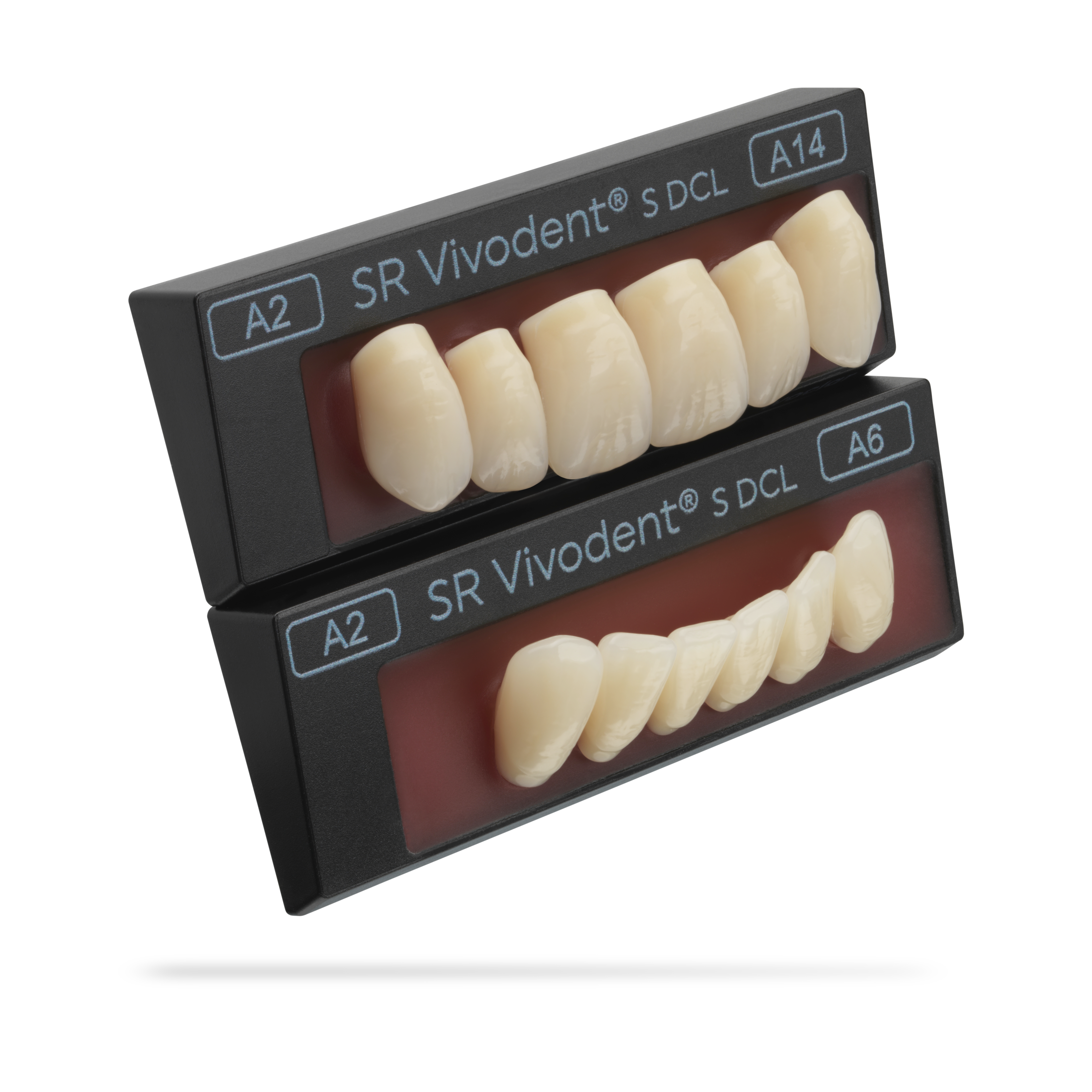 SR Vivodent S DCL set of 6