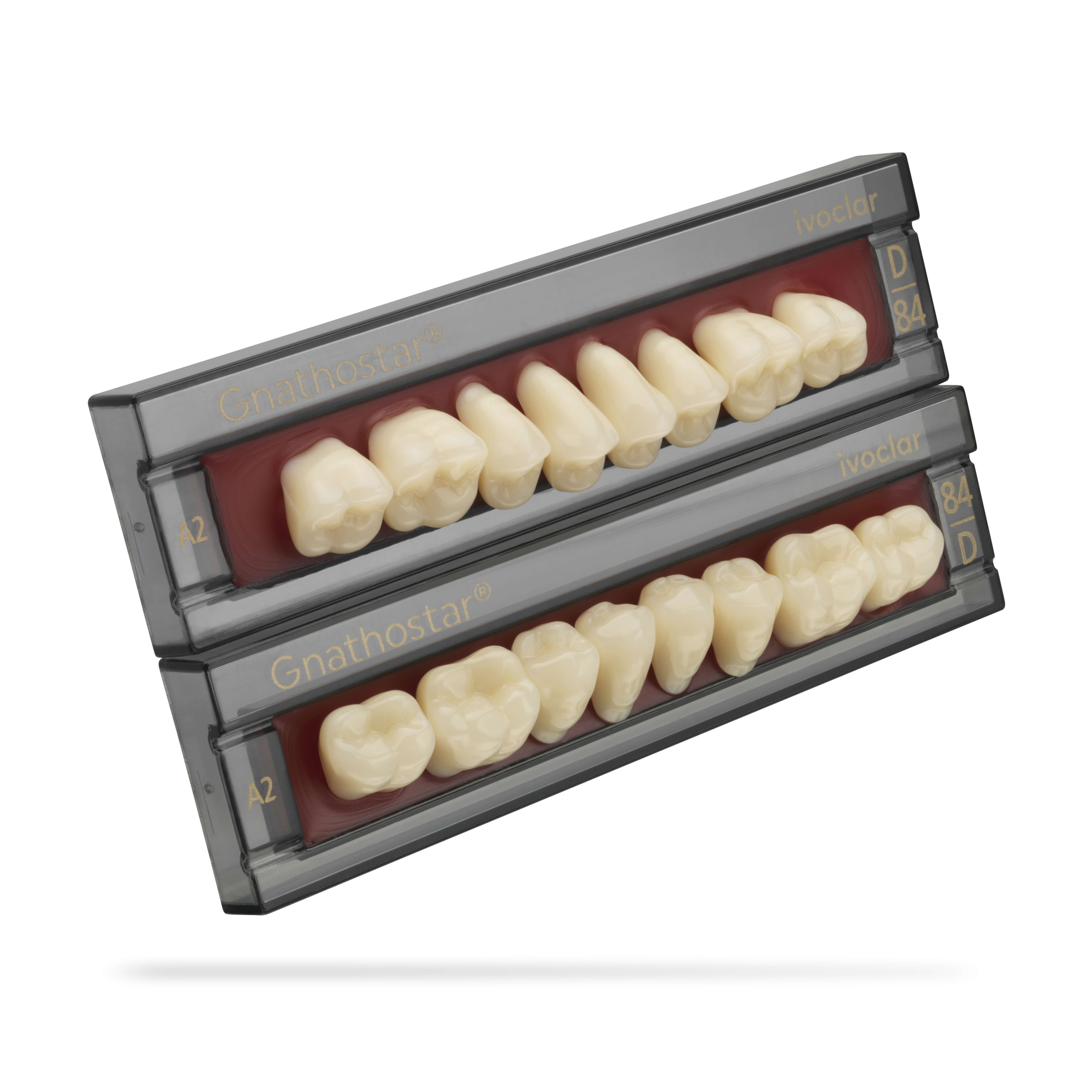 Gnathostar Set of 8 A-D