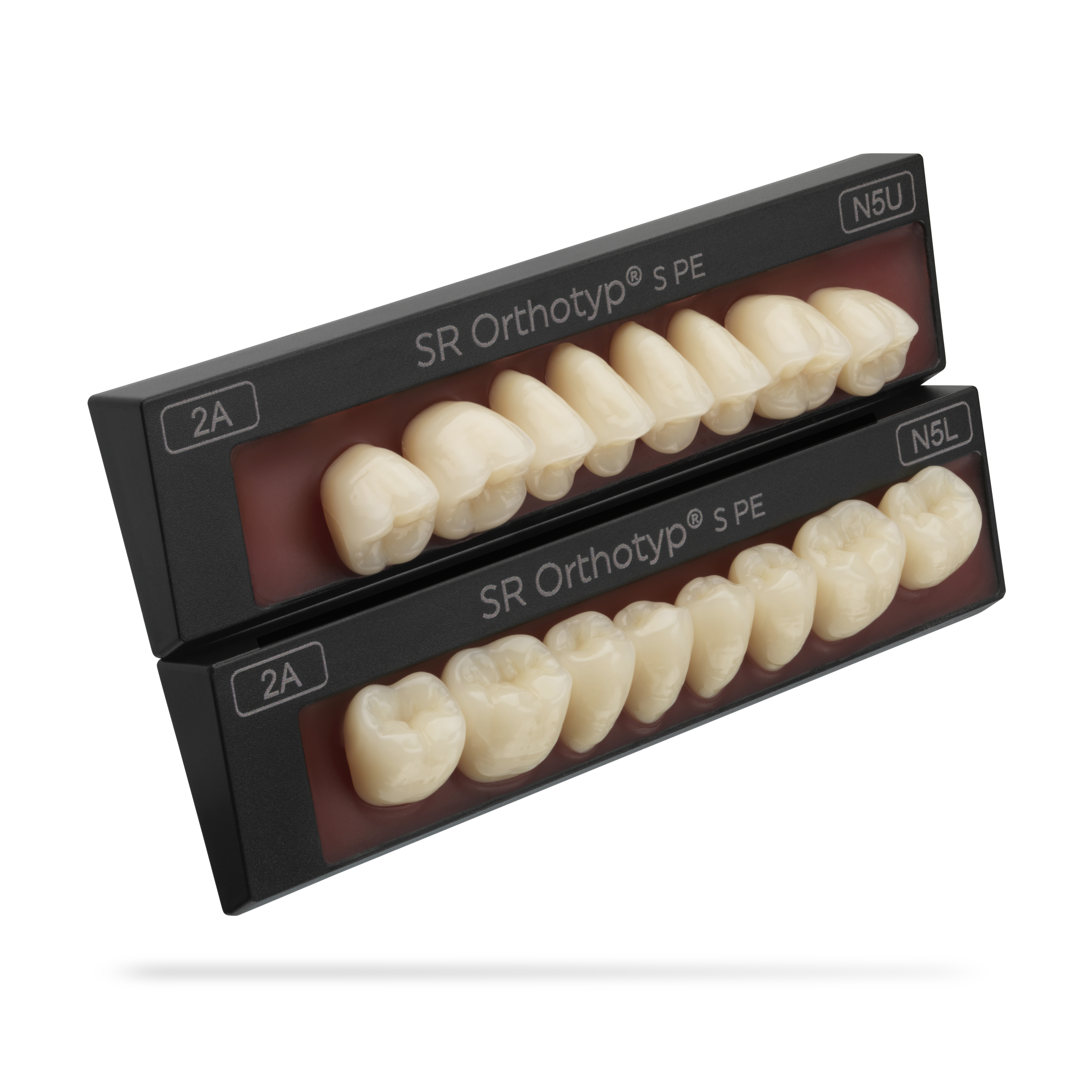 SR Orthotyp S PE set of 8