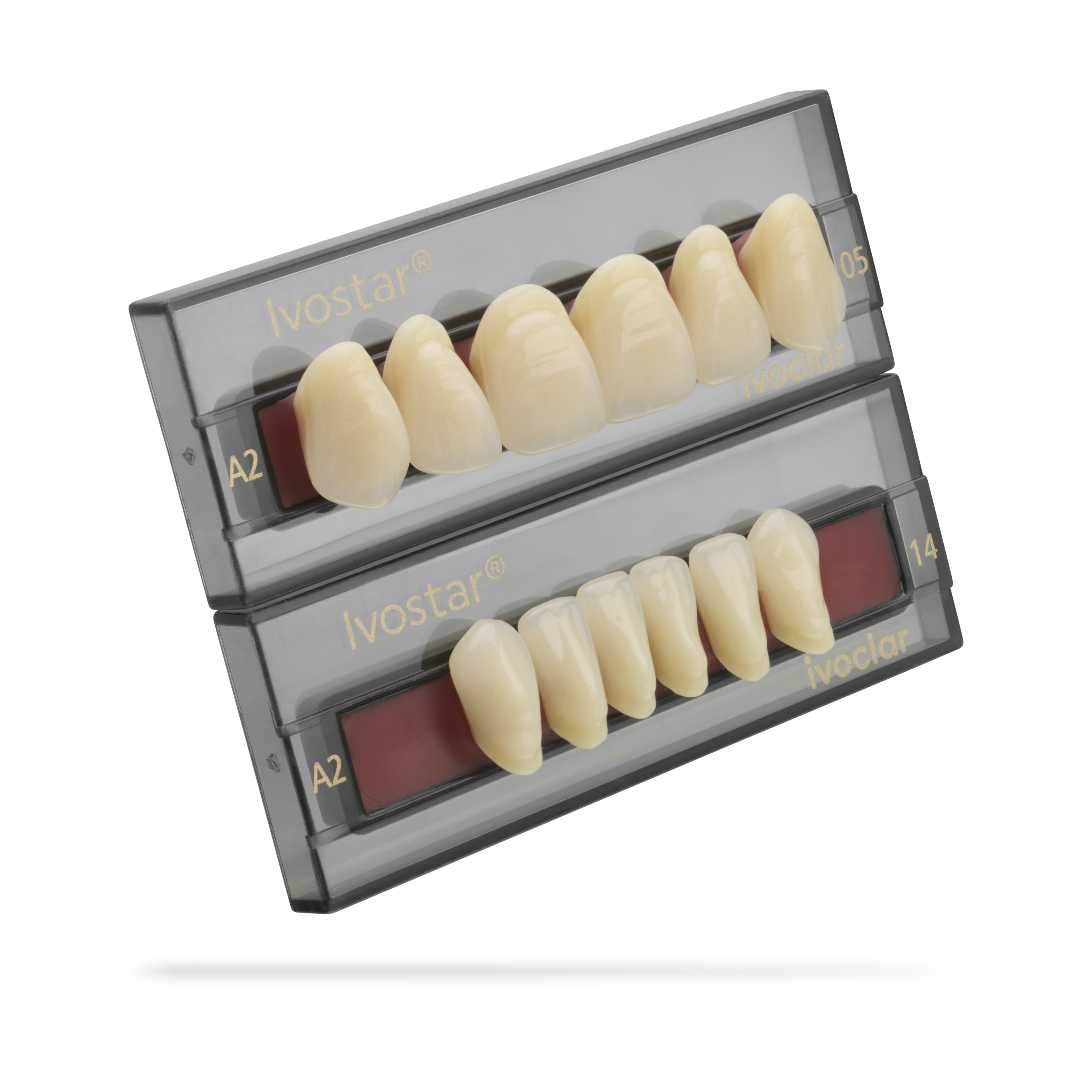 Ivostar Set of 6 A-D